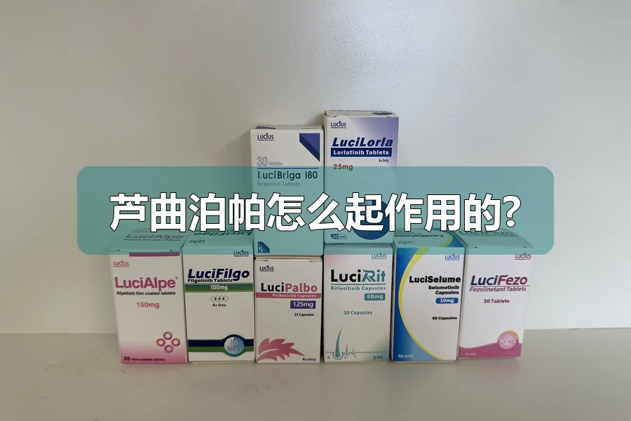 芦曲泊帕怎么起作用的?